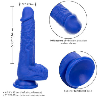 Calexotics - Admiral Sailor Realistic Dildo Vibrator Blue